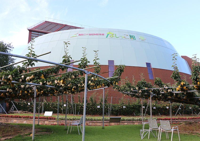 🍐 에이스팩 나싯코칸(돗토리 이십세기 배 기념관) 이미지 1